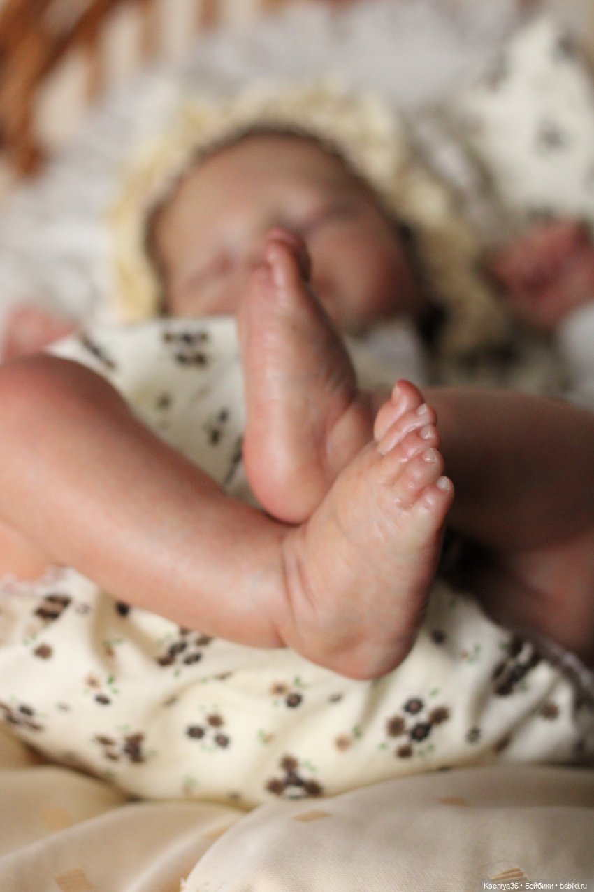 Лапочка Эрика в теплых уютных тонах (фото 4)