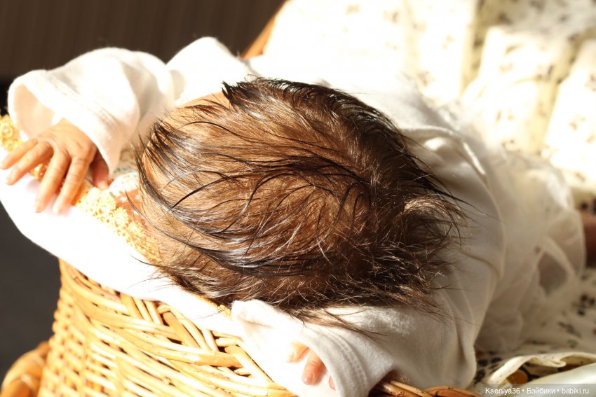 Темнокожая Принцесса, Primrose Asleep