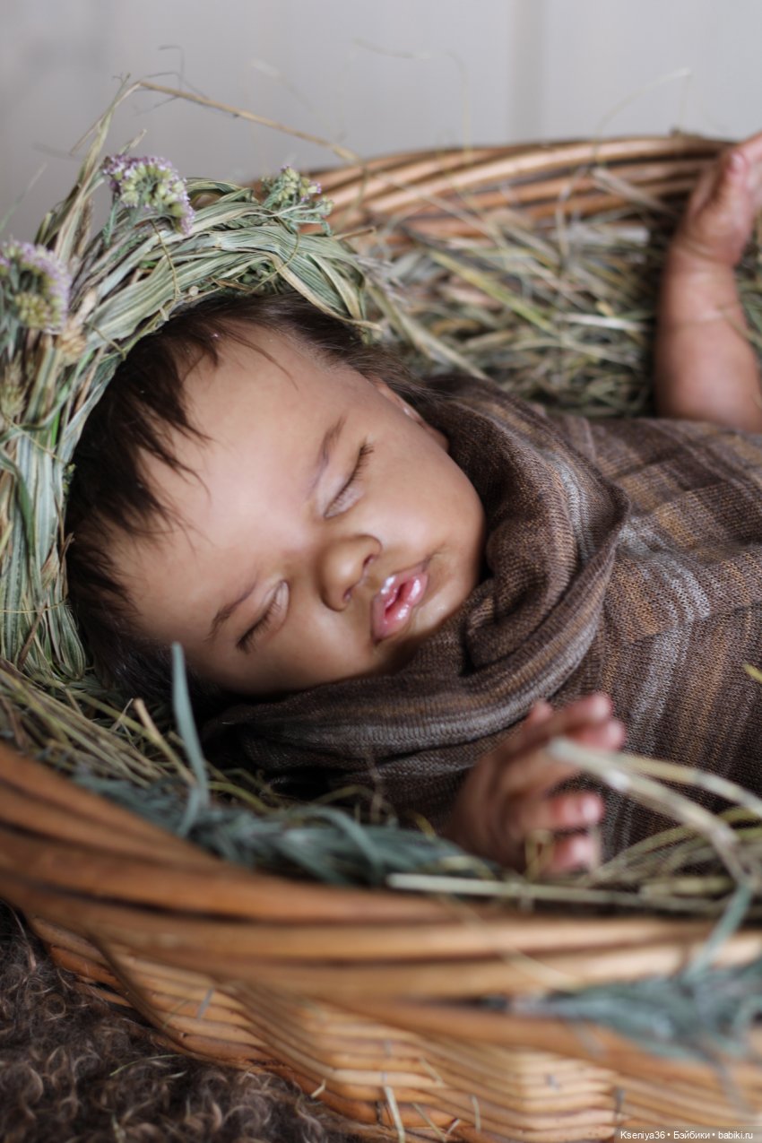 Темнокожая Принцесса, Primrose Asleep