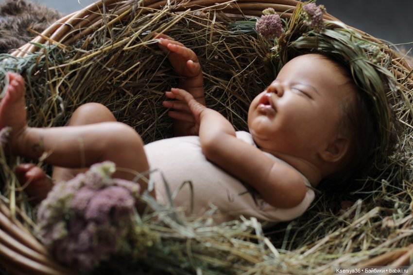 Темнокожая Принцесса, Primrose Asleep (фото 2)