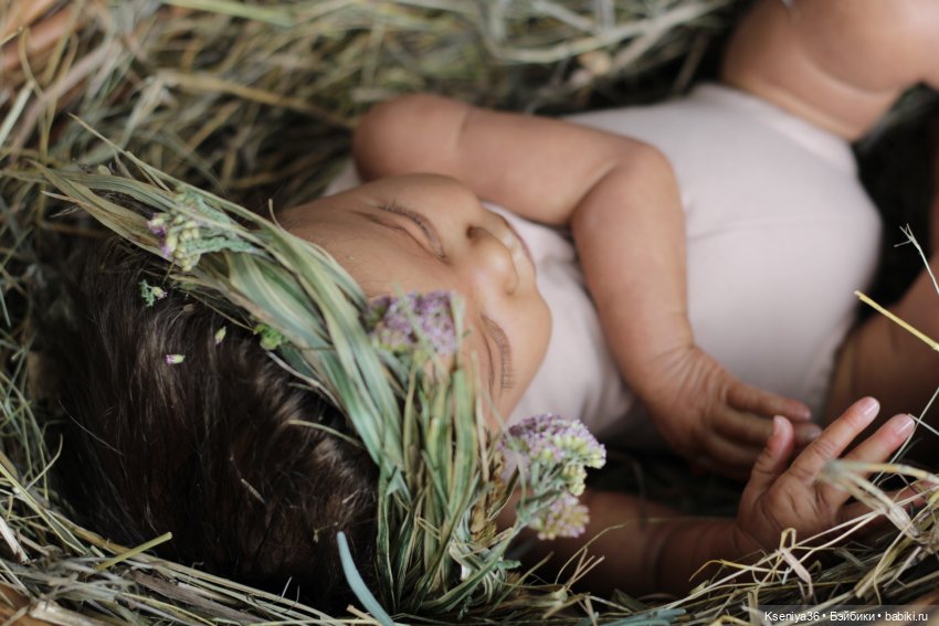 Темнокожая Принцесса, Primrose Asleep (фото 3)