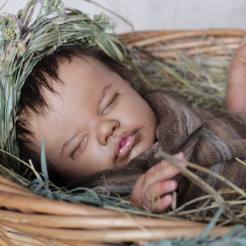 Темнокожая Принцесса, Primrose Asleep