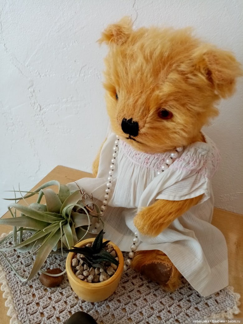 Моя крошечная коллекция мишек-тедди. Старинные мишки-тедди