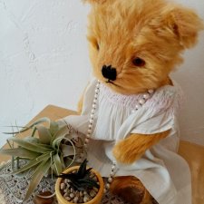 Моя крошечная коллекция мишек-тедди. Старинные мишки-тедди.