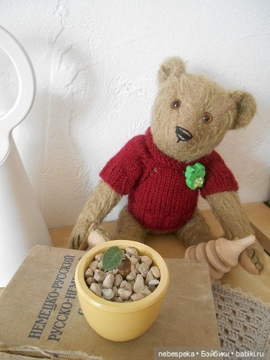 Моя крошечная коллекция мишек-тедди. Мишки иностранных авторов и репликанты