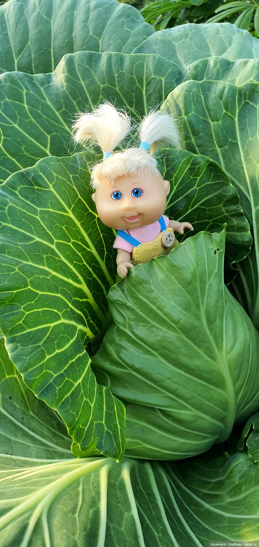 А любите ли вы капусту — Куклы Cabbage Patch Kids (Капустки): винтаж 80 (фото 3)