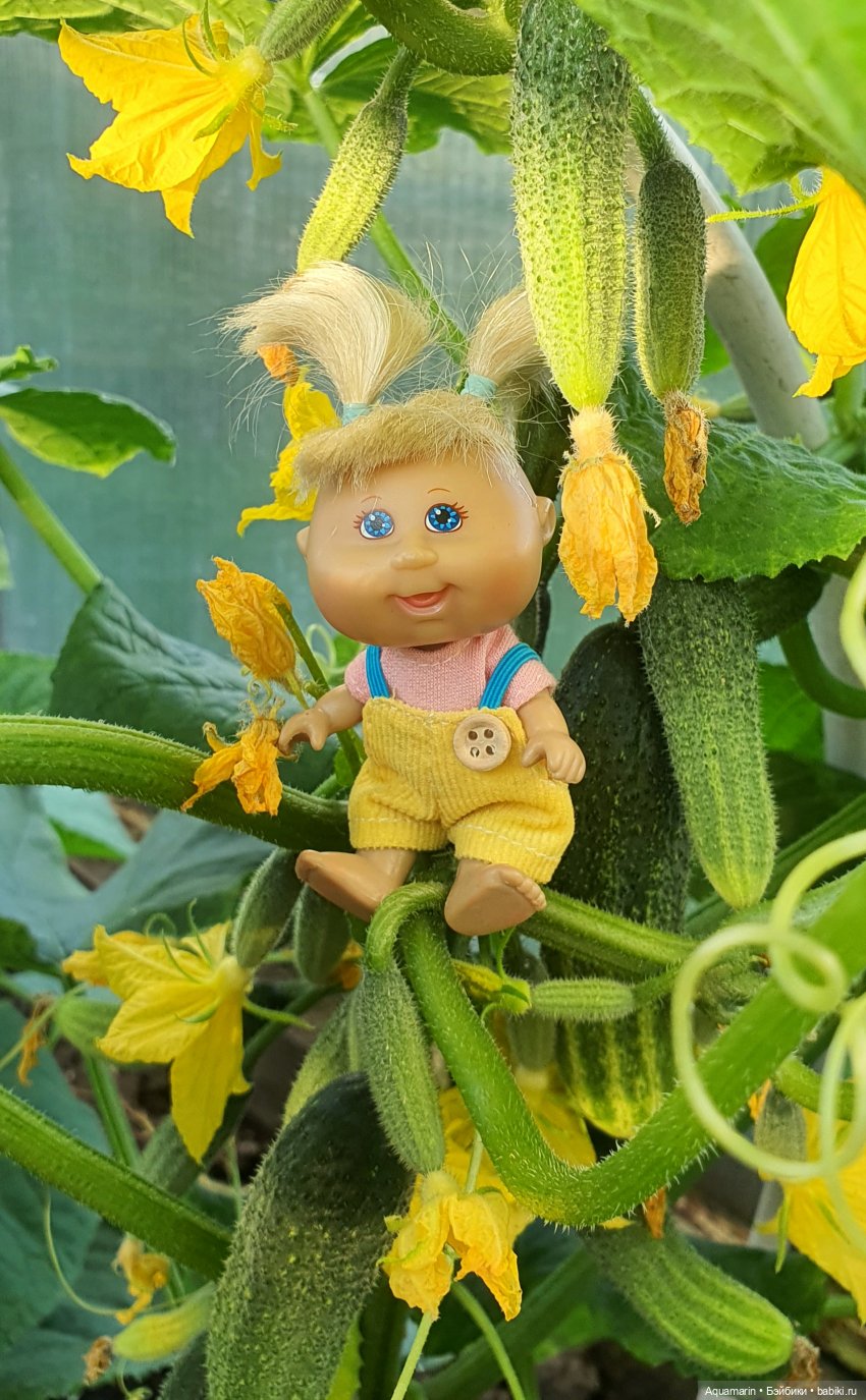 А любите ли вы капусту — Куклы Cabbage Patch Kids (Капустки): винтаж 80 (фото 4)