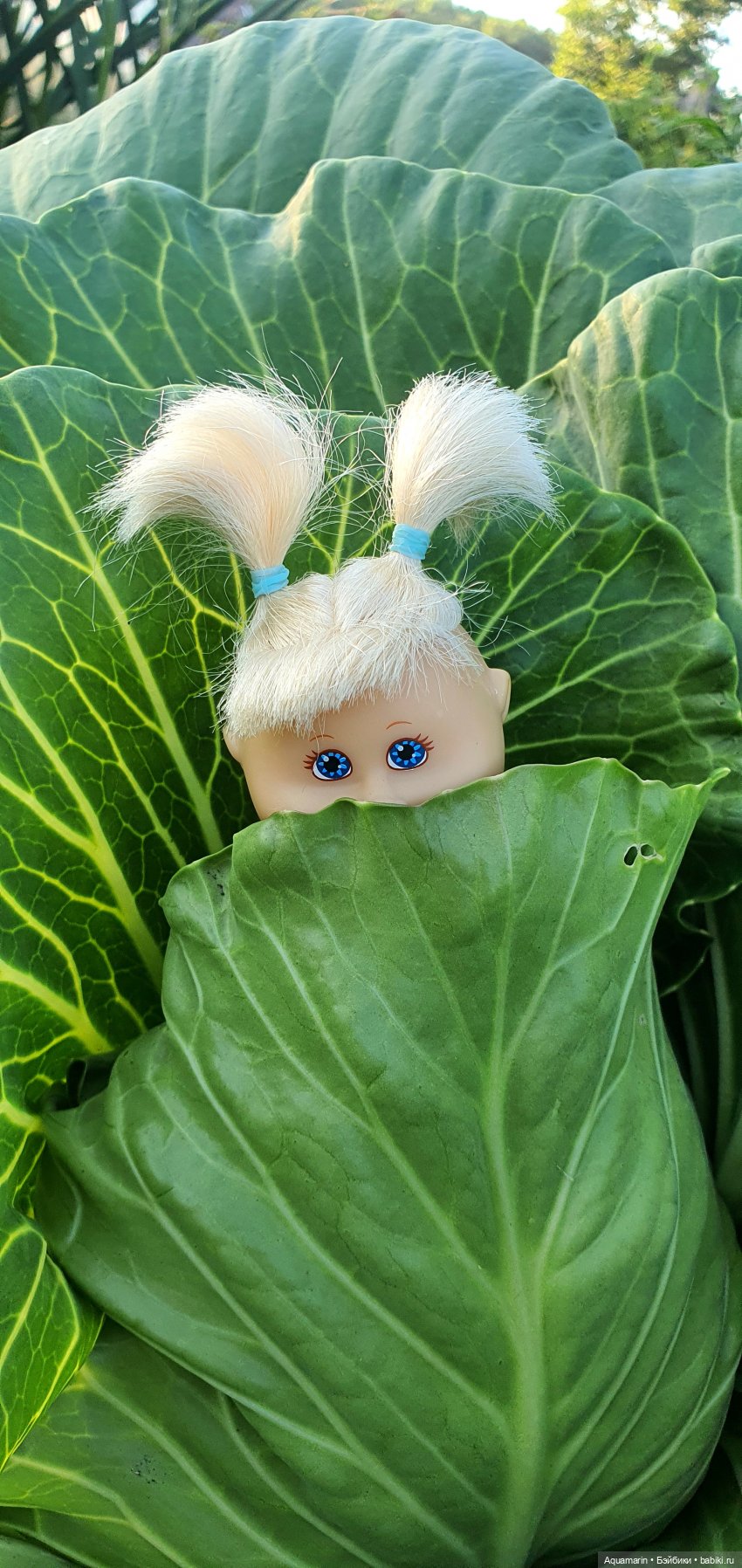 А любите ли вы капусту — Куклы Cabbage Patch Kids (Капустки): винтаж 80