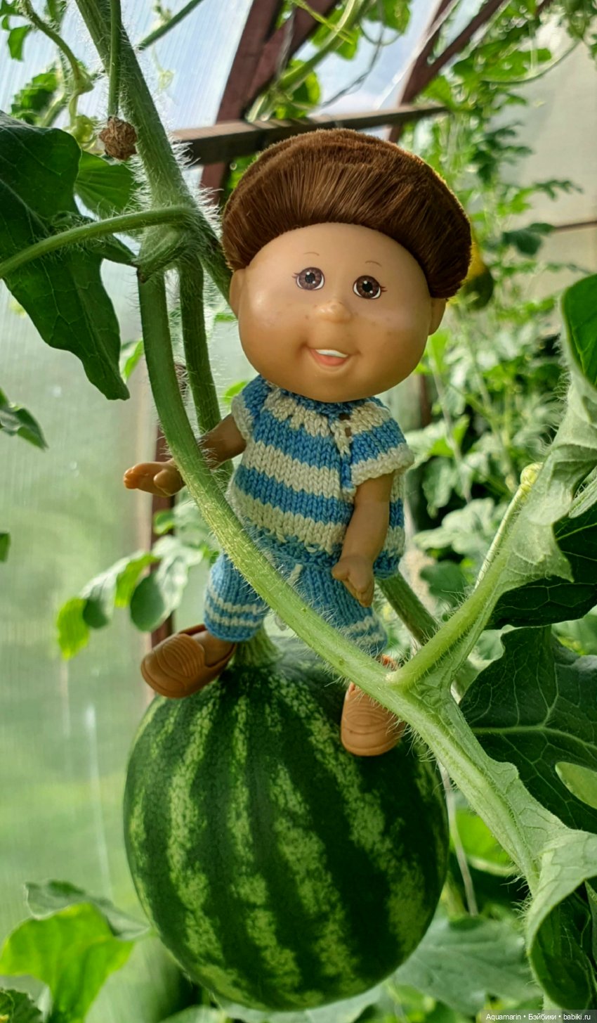 Мои любимые капустки) — Куклы Cabbage Patch Kids (Капустки): винтаж 80 (фото 6)
