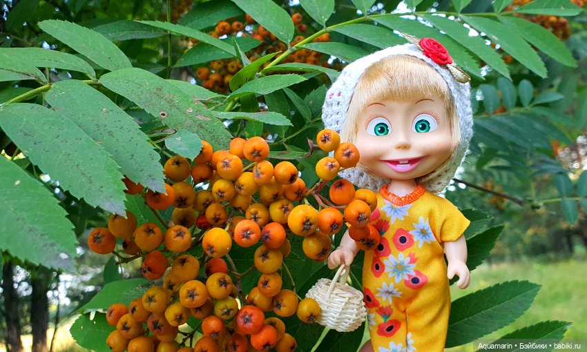 Машка в лесу — Куклы Маша и Медведь (Simba): Маша в кармашке