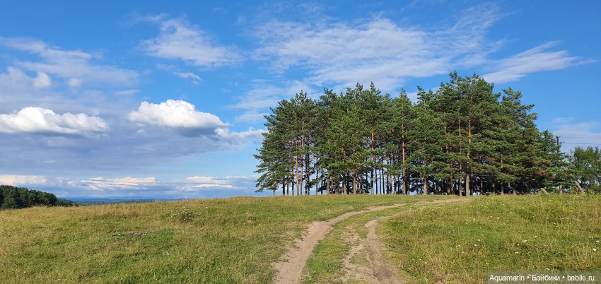 Машка в лесу — Куклы Маша и Медведь (Simba): Маша в кармашке (фото 2)