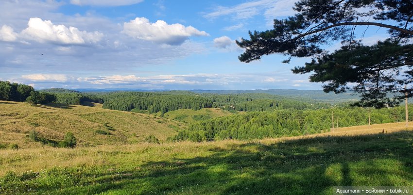 Машка в лесу — Куклы Маша и Медведь (Simba): Маша в кармашке (фото 8)