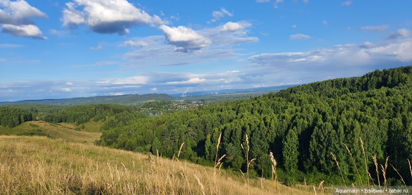 Машка в лесу — Куклы Маша и Медведь (Simba): Маша в кармашке