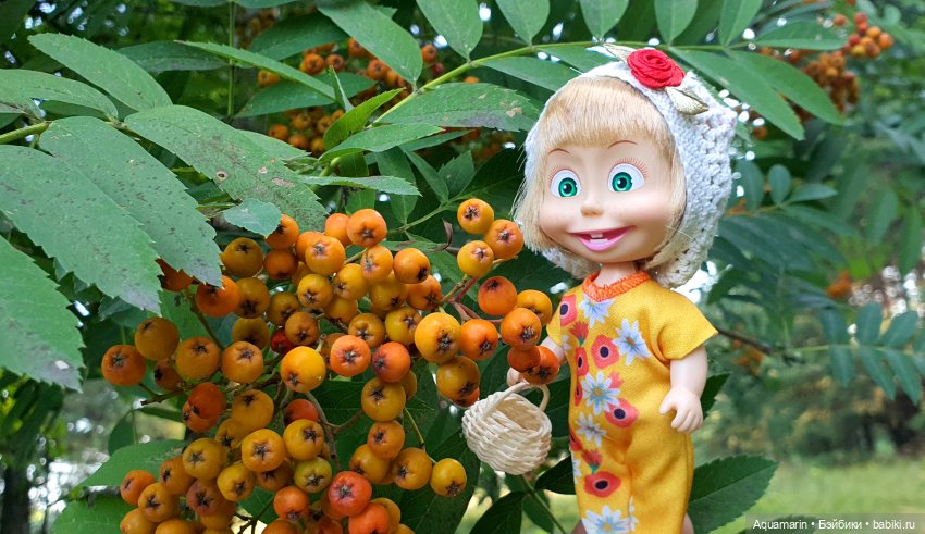 Машка в лесу — Куклы Маша и Медведь (Simba): Маша в кармашке