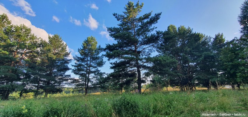 Машка в лесу — Куклы Маша и Медведь (Simba): Маша в кармашке