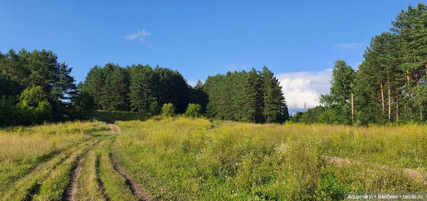 Машка в лесу — Куклы Маша и Медведь (Simba): Маша в кармашке