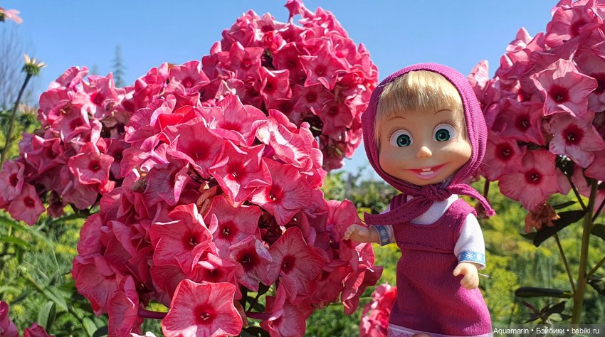 Лето, ах, лето — Куклы Маша и Медведь (Simba): Маша в кармашке (фото 4)