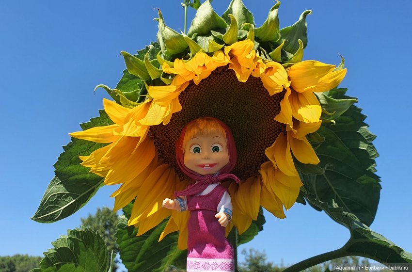 Лето, ах, лето — Куклы Маша и Медведь (Simba): Маша в кармашке