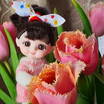 Тюльпановое настроение)