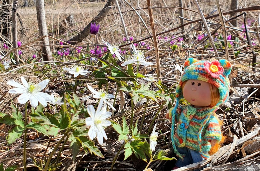 Грунина весна — Куклы с Алиэкспресс (Aliexpress): Китайские шарнирные