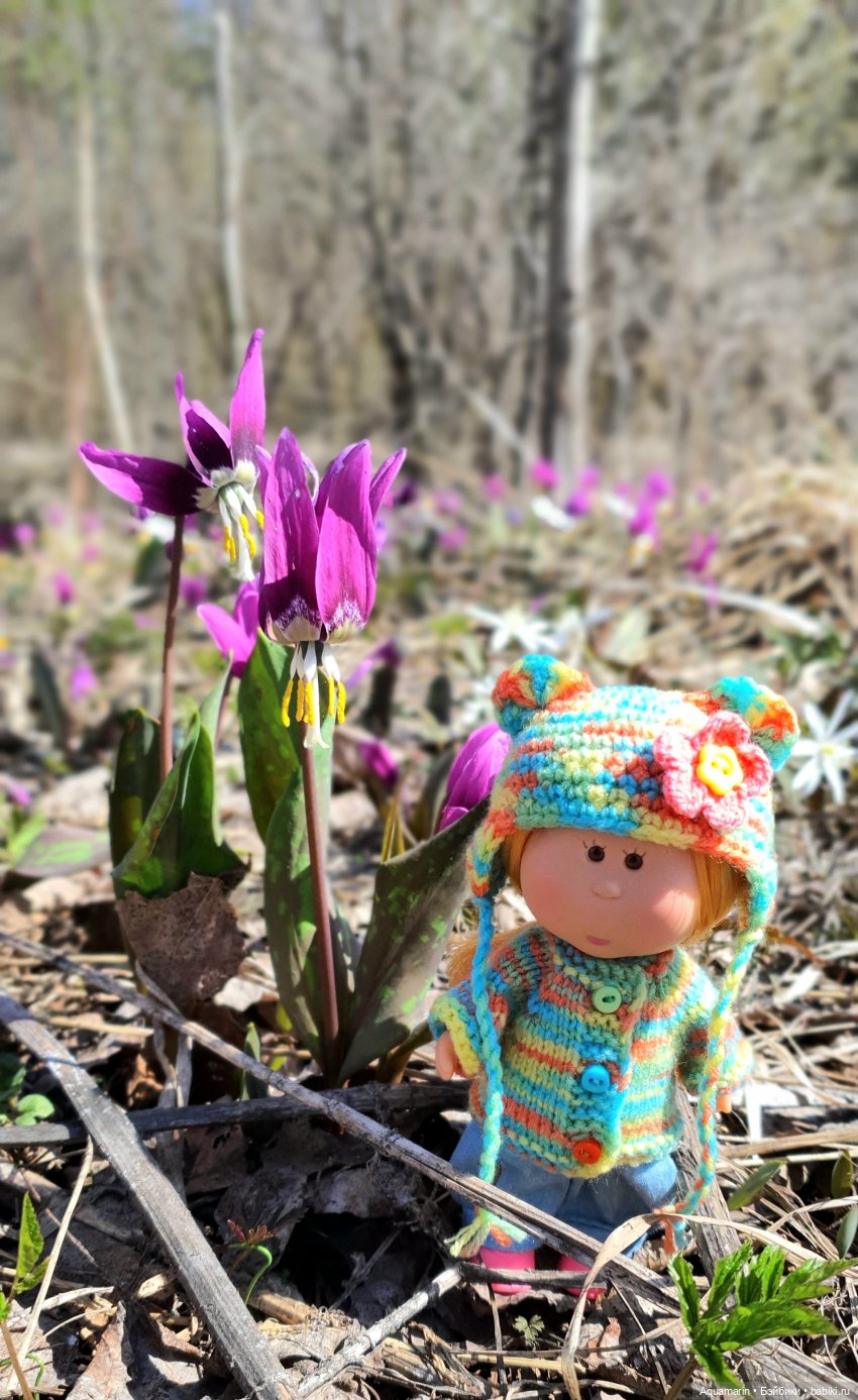 Грунина весна — Куклы с Алиэкспресс (Aliexpress): Китайские шарнирные