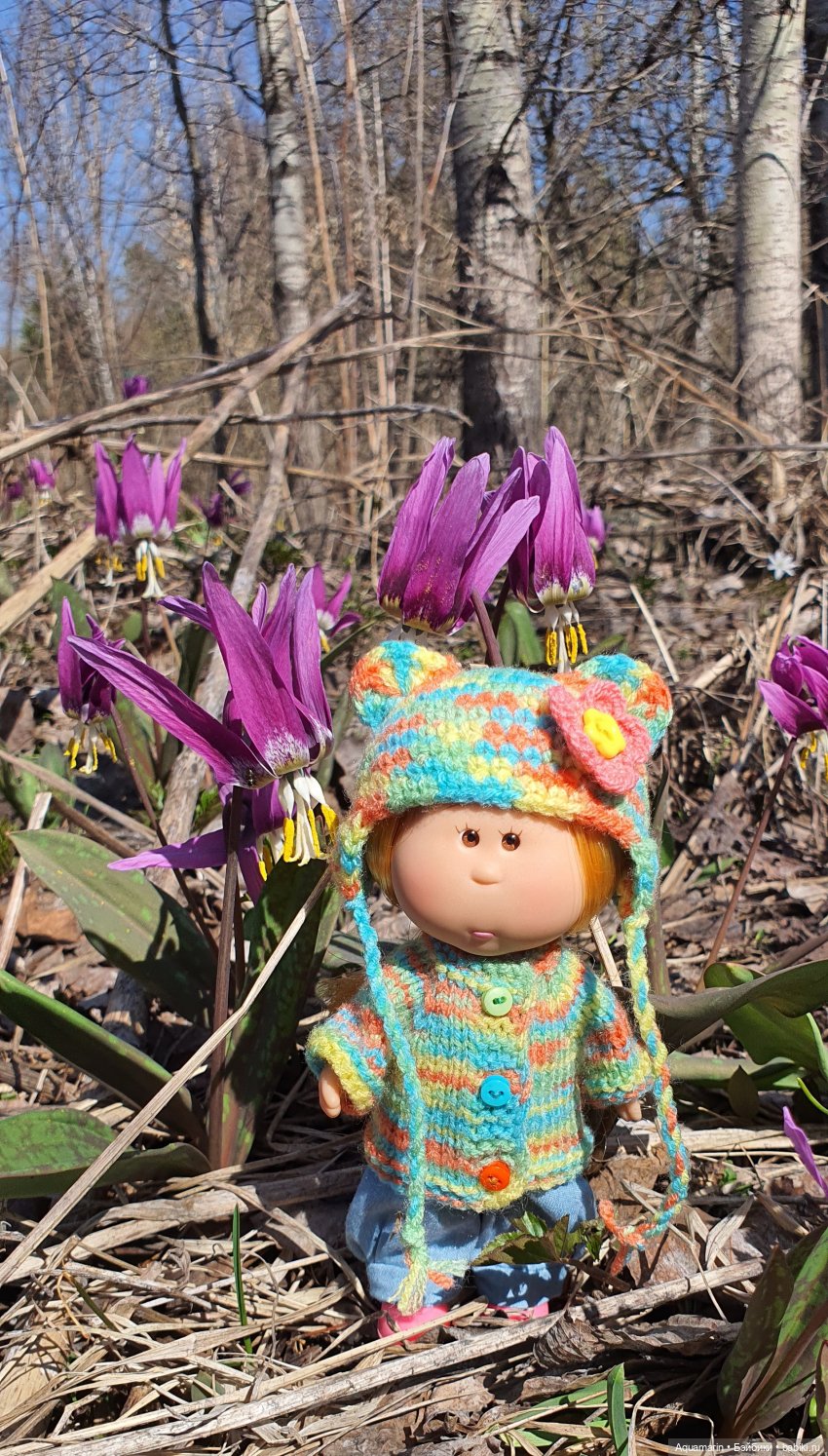 Грунина весна — Куклы с Алиэкспресс (Aliexpress): Китайские шарнирные