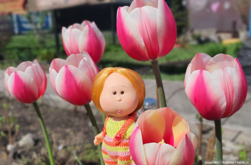 Цветущий май! Победный май
