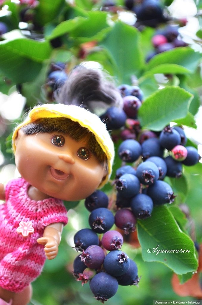 Тася, Ульянка и Чоко) — Cabbage Patch Kids dolls