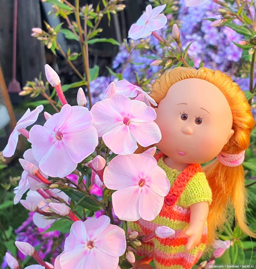 Груняшин флоксовый рай — Куклы с Алиэкспресс (Aliexpress): Китайские шарнирные