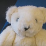 Беленький мишка с голубыми глазами