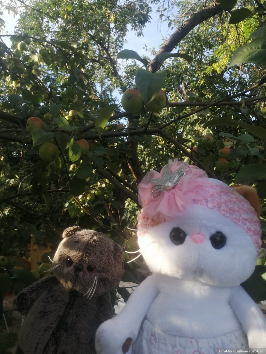 Кошачья прогулка — Кот Басик (фото 9)