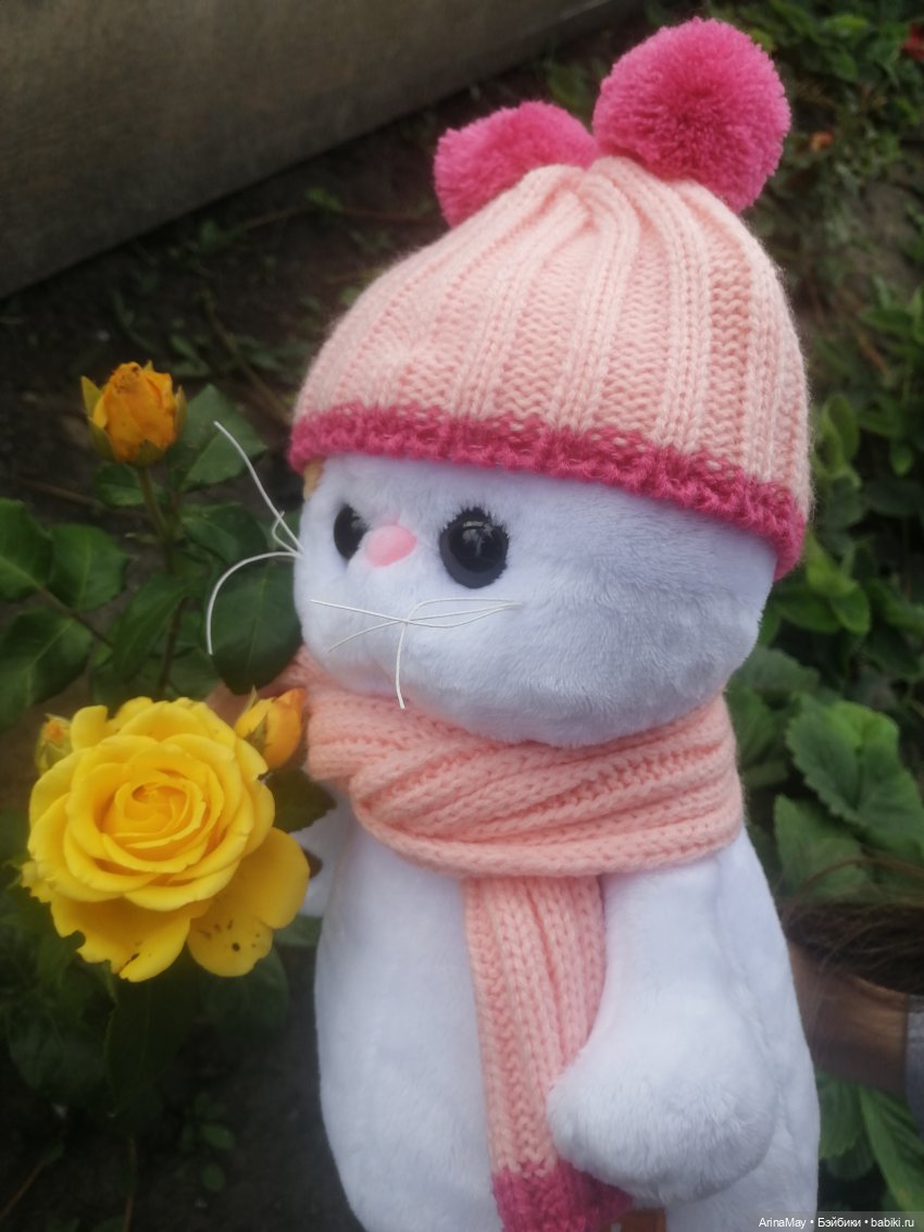 Кошачья прогулка — Кот Басик (фото 3)