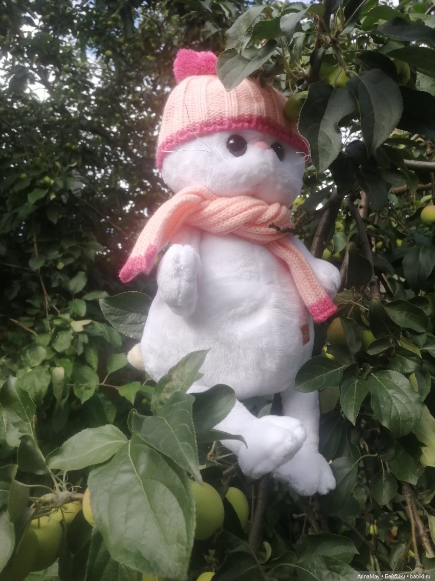 Кошачья прогулка — Кот Басик (фото 7)