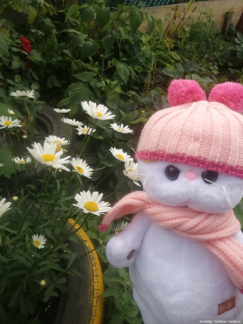 Кошачья прогулка — Кот Басик