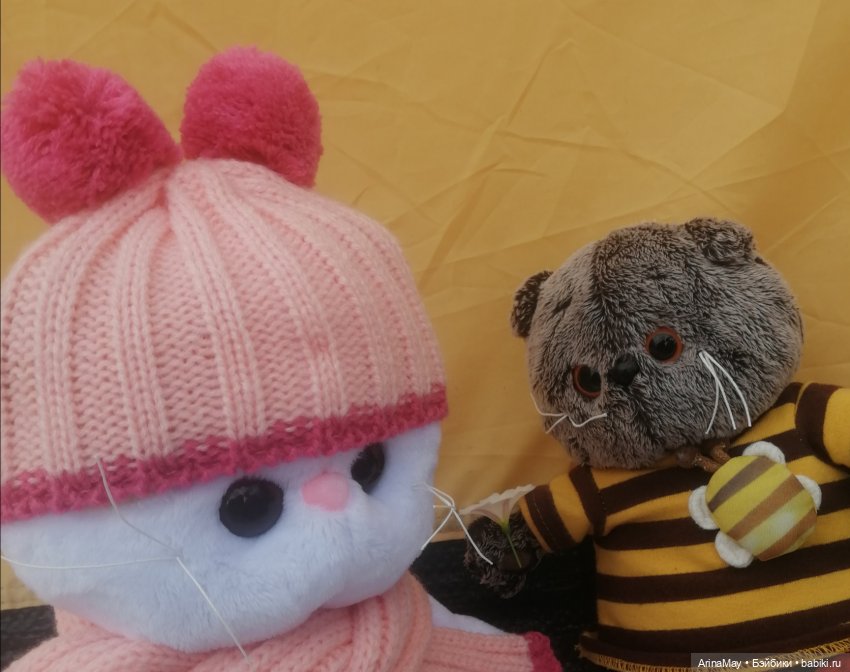 Кошачья прогулка — Кот Басик (фото 8)