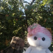 Кошачья прогулка