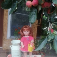 Яблочный сезон