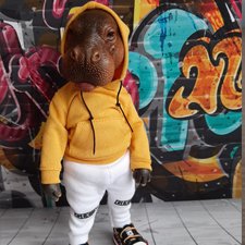 Обновки для Линкольна