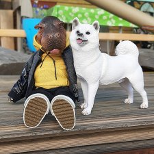 Линкольн в гостях😊