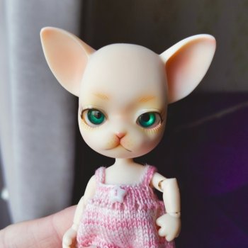 Малышка чишка. Pang ju