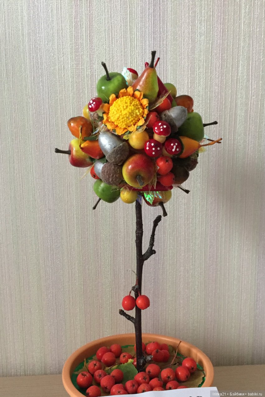 Эко-елка и не только — Другие хобби и увлечения: сад