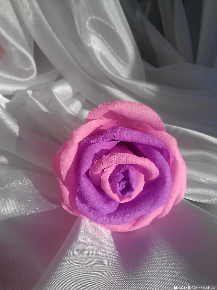 Эко-елка и не только — Другие хобби и увлечения: сад