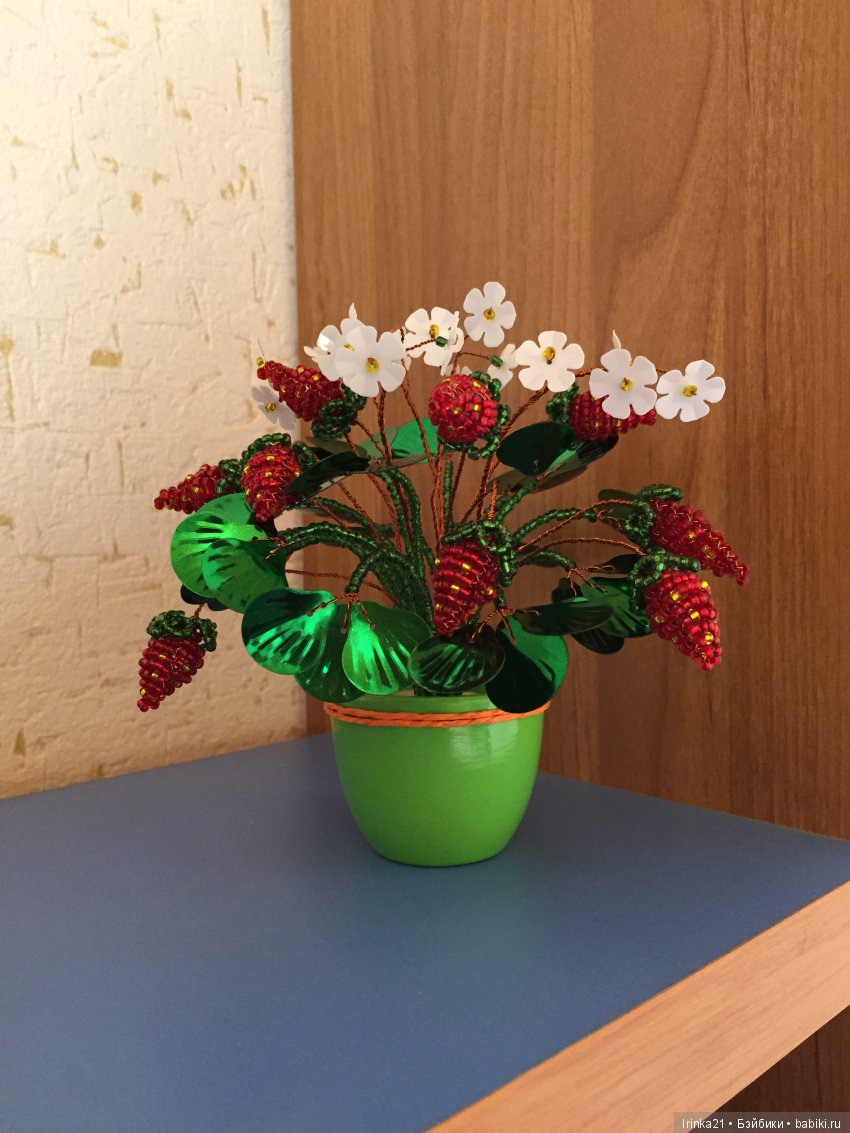 Эко-елка и не только — Другие хобби и увлечения: сад (фото 8)