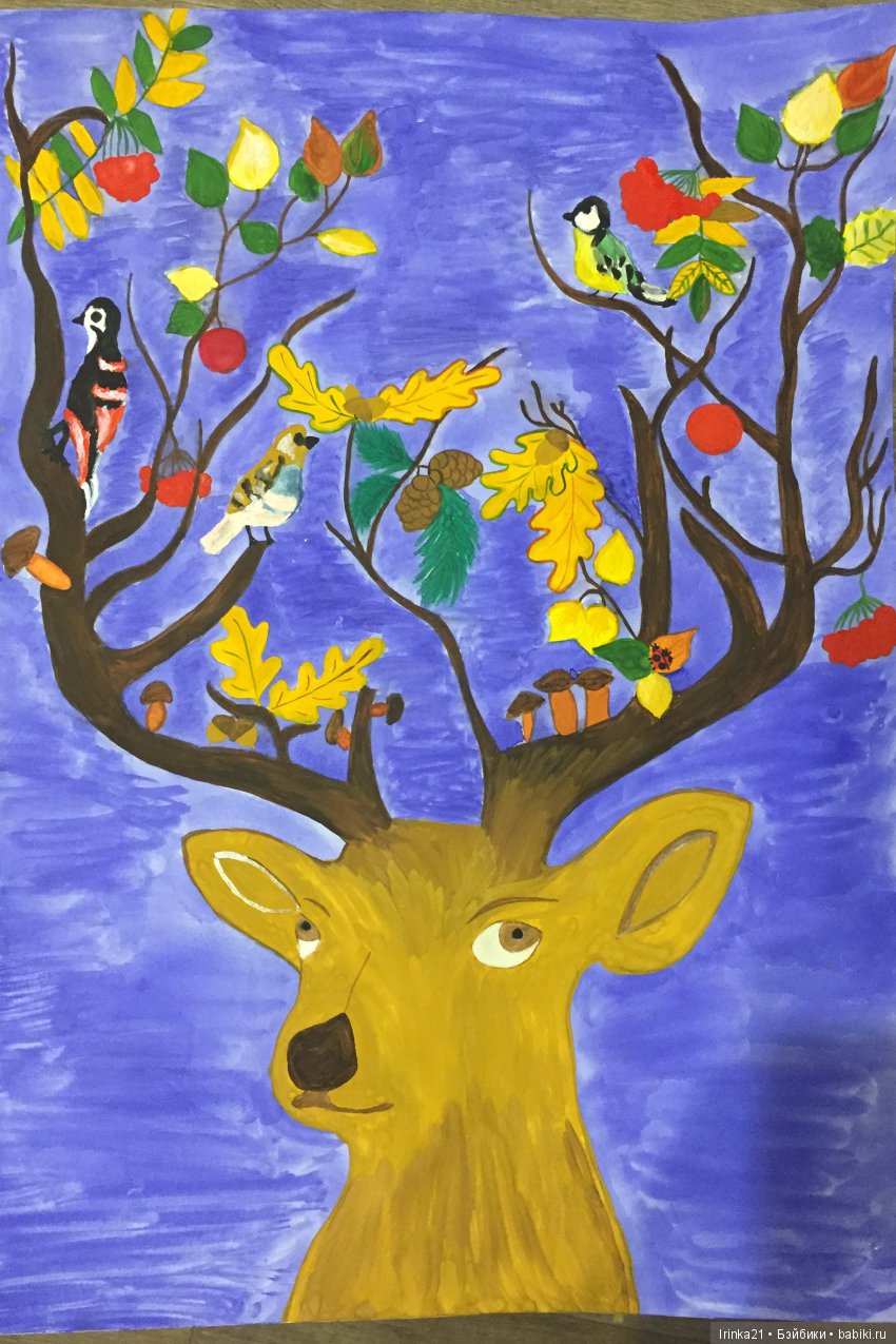 Эко-елка и не только — Другие хобби и увлечения: сад