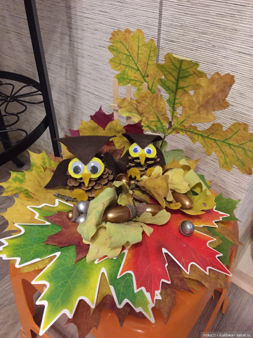 Эко-елка и не только — Другие хобби и увлечения: сад