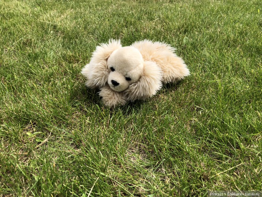 Новое счастье- моя Мариетта