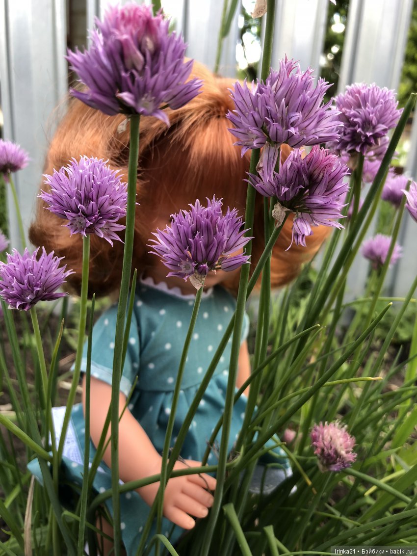 Новое счастье- моя Мариетта (фото 8)