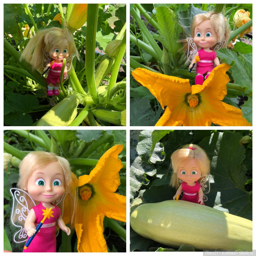 Маша с собачкой и не только (фото 5)