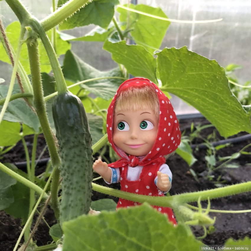 Маша с собачкой и не только (фото 4)