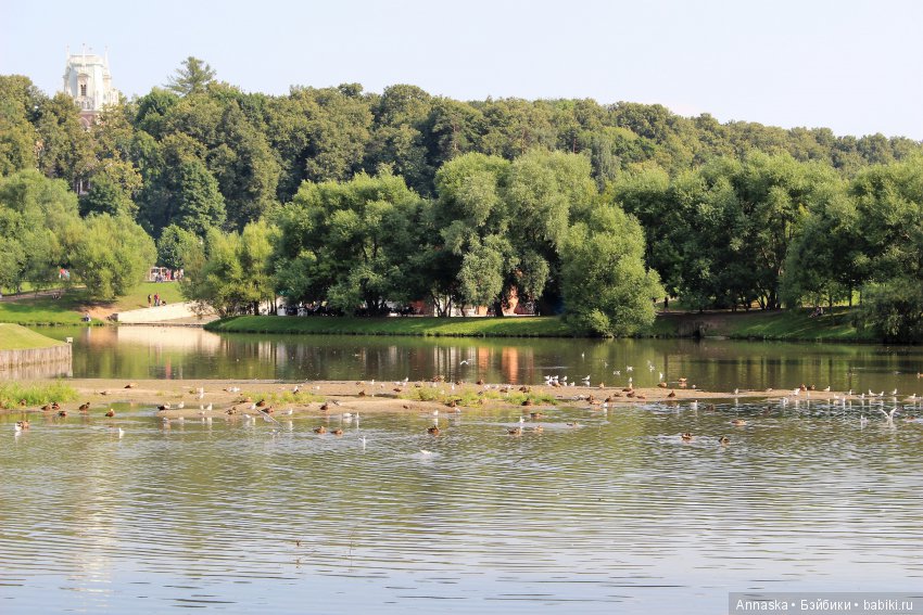 Слишком серьезные мысли. Glacedolls, Dollstown Maru (фото 3)